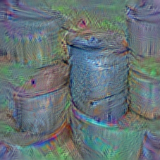 n02795169